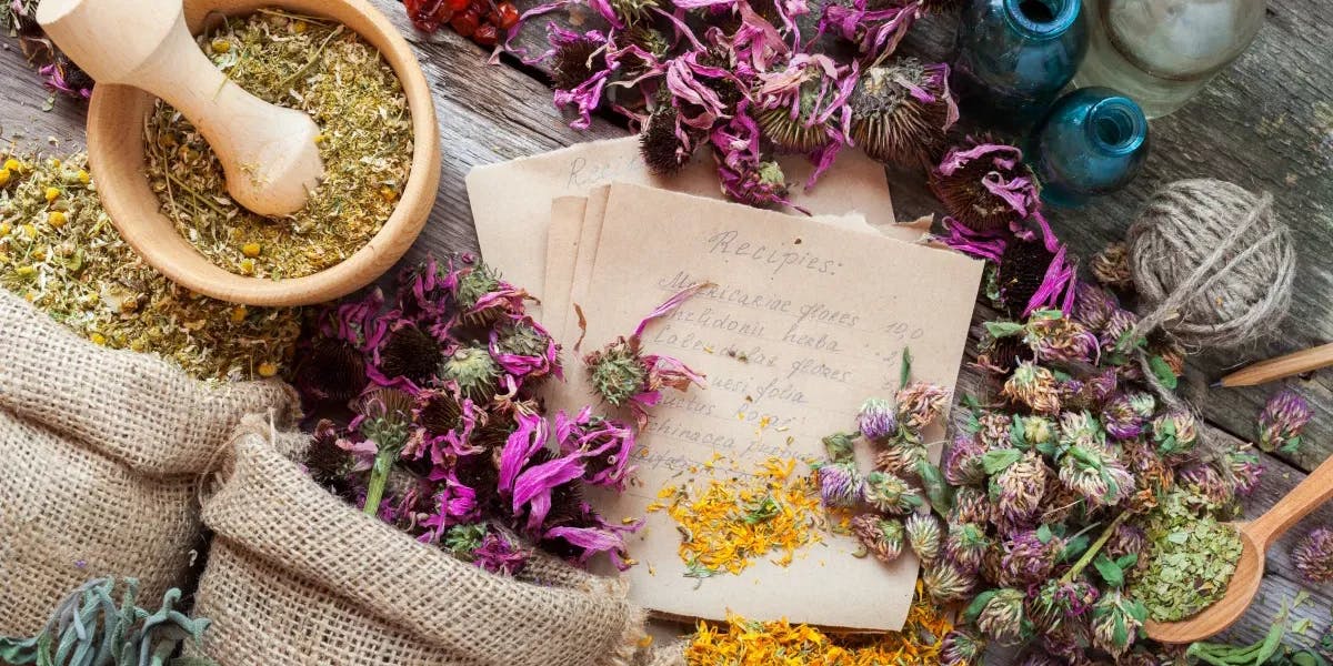 Ancient Medicinal Plants Poised to Illuminate Bali’s Wellness Tourism Sector