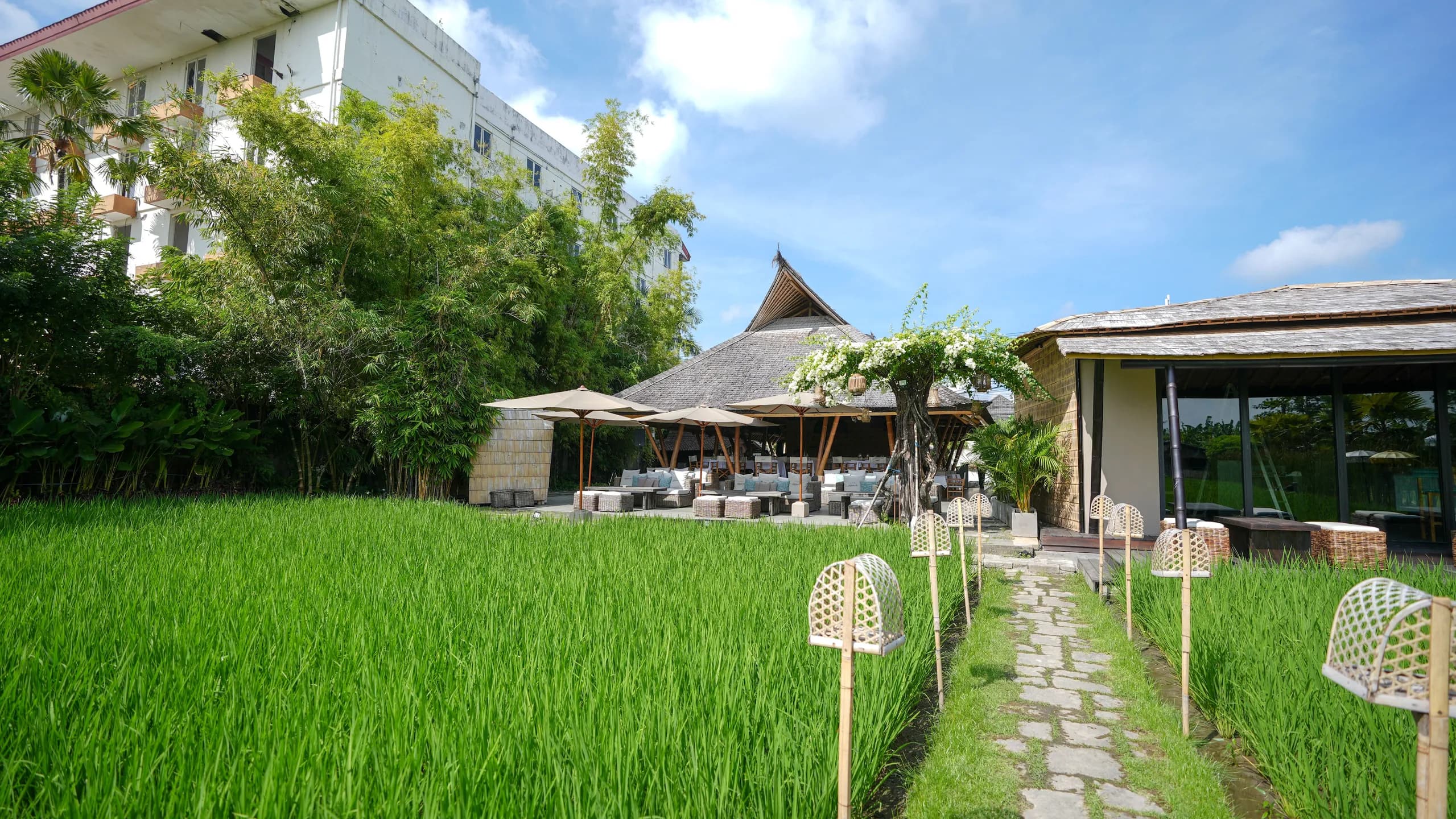 DSC00437 (1)