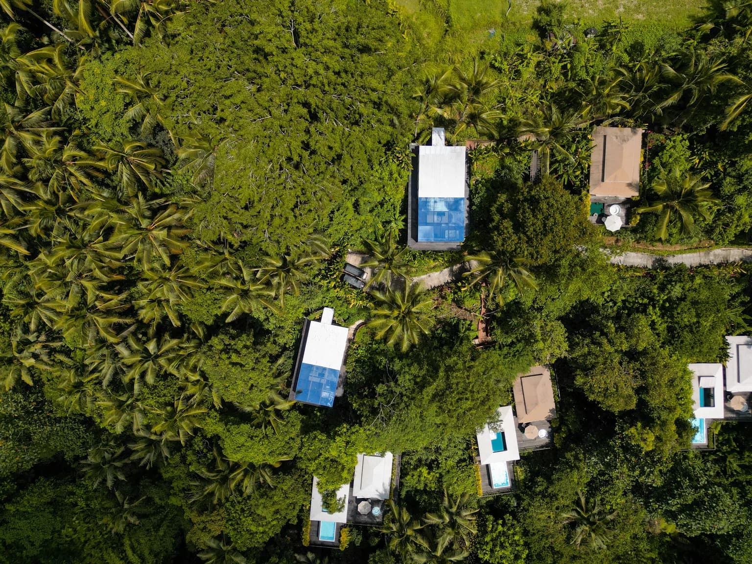 dji-0024-edit-5-5.webp
