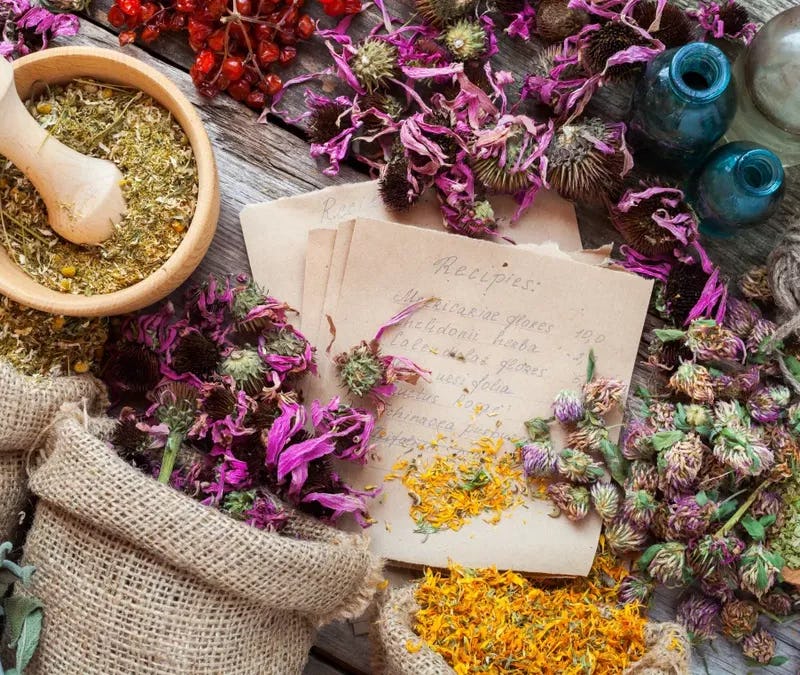 Ancient Medicinal Plants Poised to Illuminate Bali’s Wellness Tourism Sector