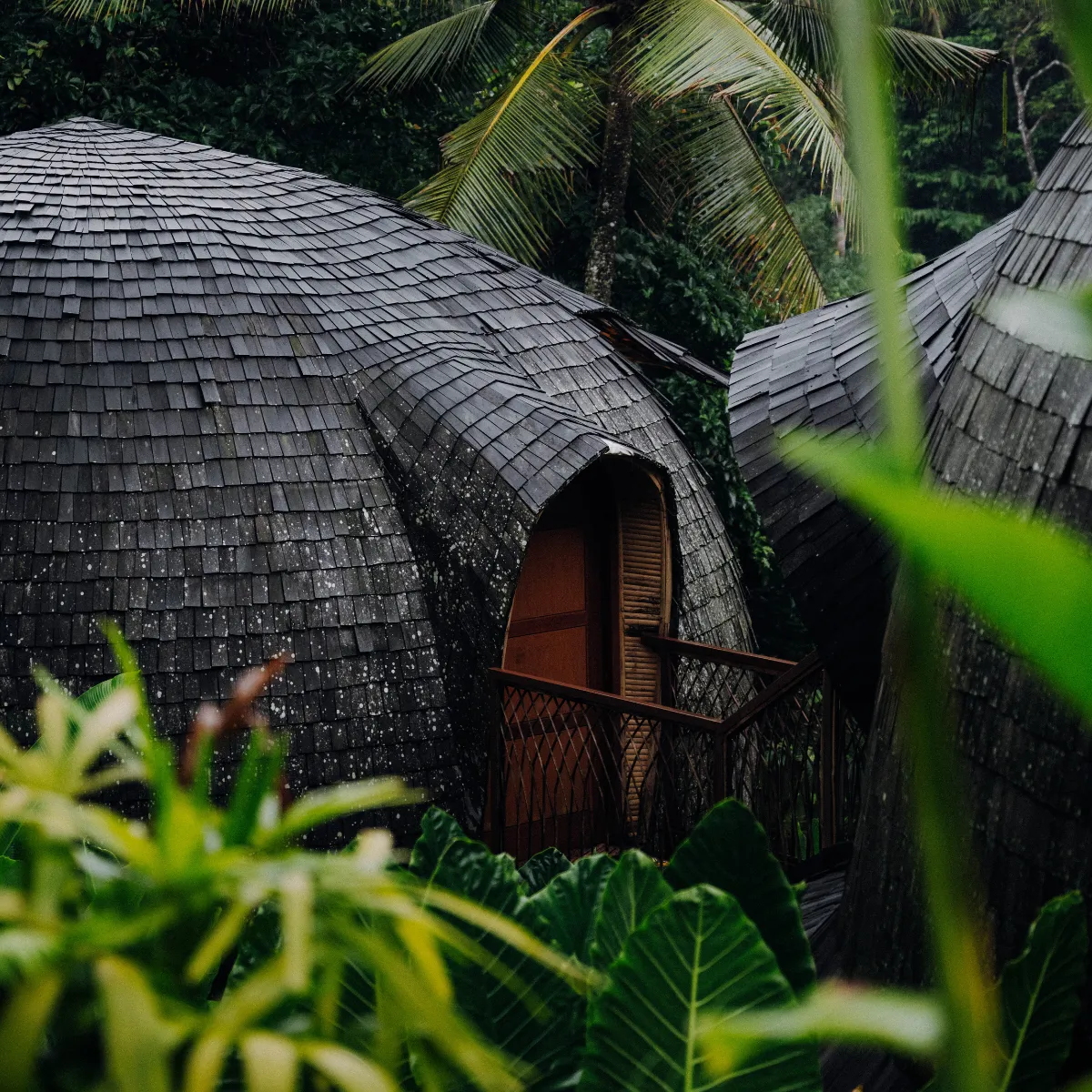 Үлкен жопа анал егде